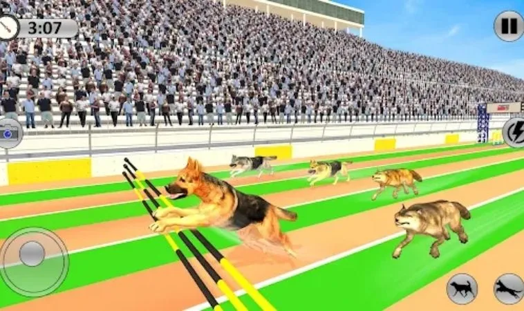 Tuyệt Chiêu Cách Chơi Game Nhanh Đua Chó Tại Kingbet86 Đỉnh Cao Nhất 2 Cách chơi game nhanh Đua Chó Tại Kingbet86