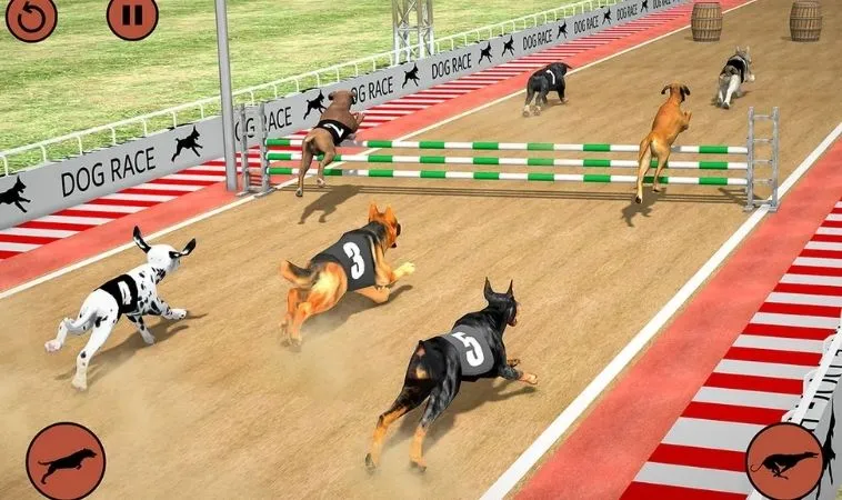 Tuyệt Chiêu Cách Chơi Game Nhanh Đua Chó Tại Kingbet86 Đỉnh Cao Nhất 1 Đua Chó Tại Kingbet86