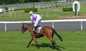 đua ngựa Kingbet86