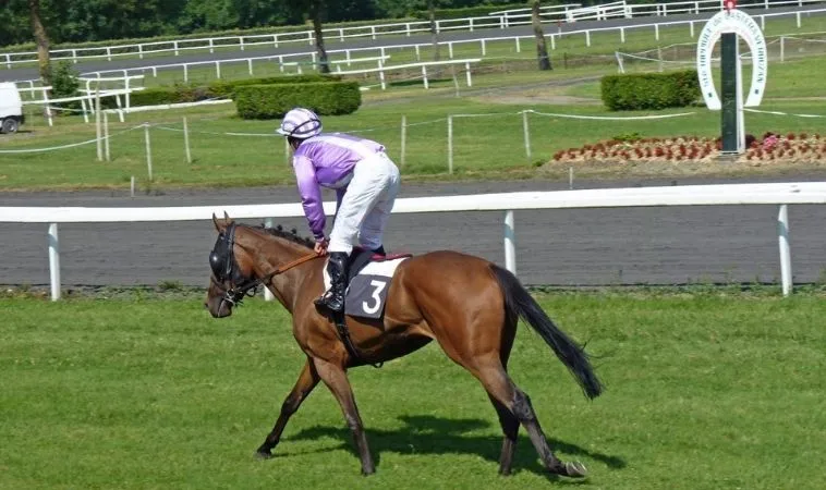 Hướng Dẫn Chi Tiết Tìm Hiểu Cá Cược Đua Ngựa Kingbet86 Đẳng Cấp 1 đua ngựa Kingbet86