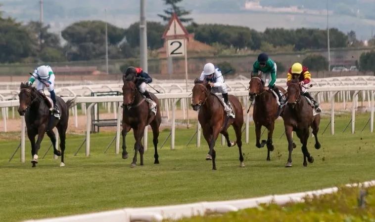 Hướng Dẫn Chi Tiết Tìm Hiểu Cá Cược Đua Ngựa Kingbet86 Đẳng Cấp 2 Cần tìm hiểu kỹ về bộ môn đua ngựa Kingbet86 trước khi cá cược